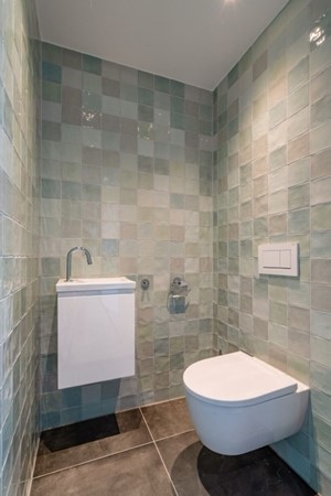 DSC07339 Medium.jpeg